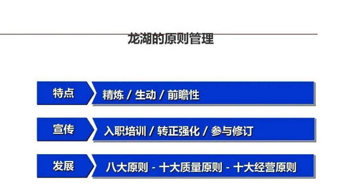 龙湖企业管理与运营精细化管理